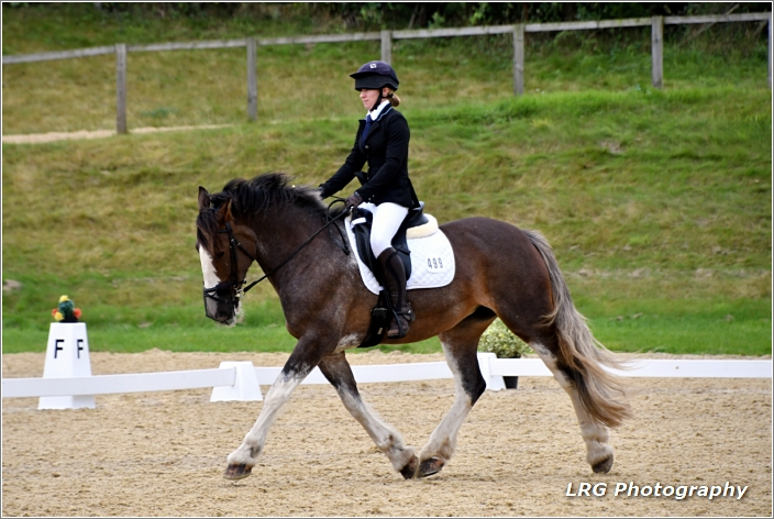 Dressage Image 3